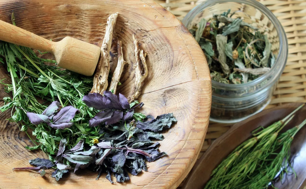 Heilpflanzen für eine naturheilkundliche Begleitung